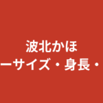 波北かほのスリーサイズ・カップ・身長は？少林寺黒帯K-1ガールのスタイルを公式データで解説【2026最新】