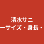【2026最新】清水サニのスリーサイズ・身長・体重・年齢まとめ｜RIZINガールの魅力を徹底解説
