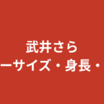 武井さらのスリーサイズ・カップ・身長・体重は？RIZINガール2025のプロフィールと格闘技経歴を解説【2026最新】