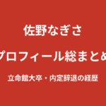 【2026最新】佐野なぎさのプロフィール総まとめ｜立命館大学卒業・内定辞退からグラビアデビュー、KNOCK OUTガールズまでを解説